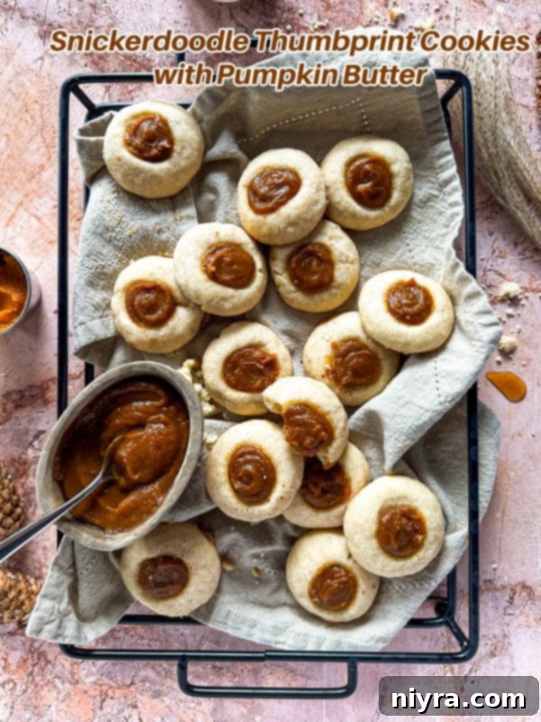 A beautifully styled shot of Snickerdoodle Thumbprint Cookies, ready for sharing on social media or for a recipe card.