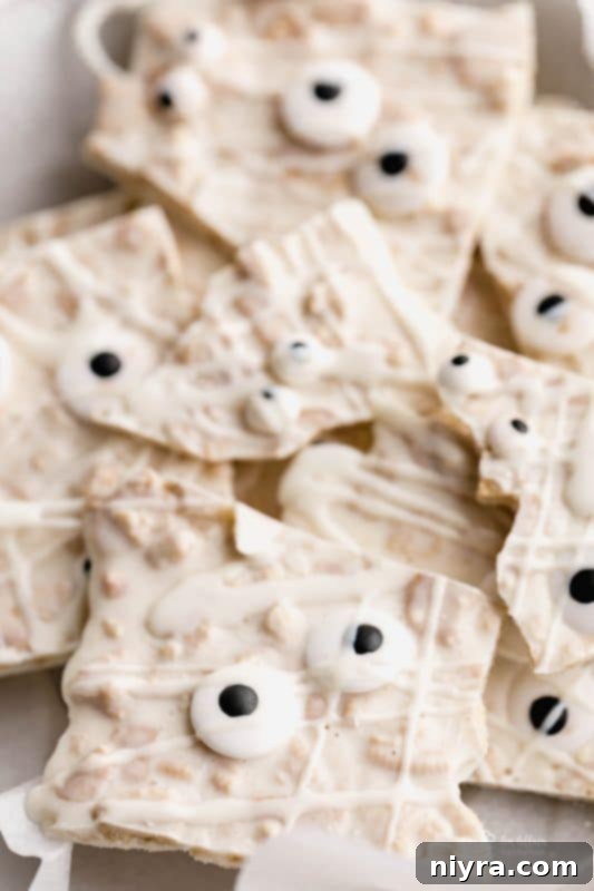 Angled shot of Halloween Mummy Bark on a light background, focusing on the texture and eyes.