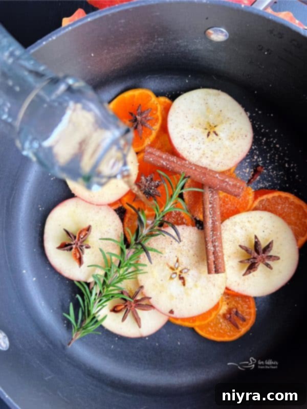 Water being poured over the fresh ingredients in a pot for an autumn simmer pot.