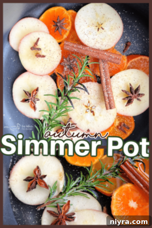 A simmering pot on the stove, filling the kitchen with autumn aromas.