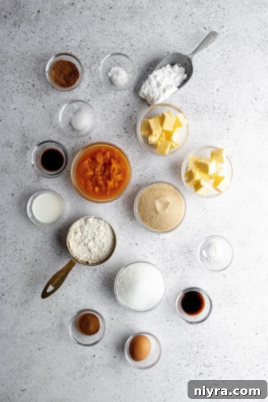 Close-up of a single soft pumpkin cookie on a white background