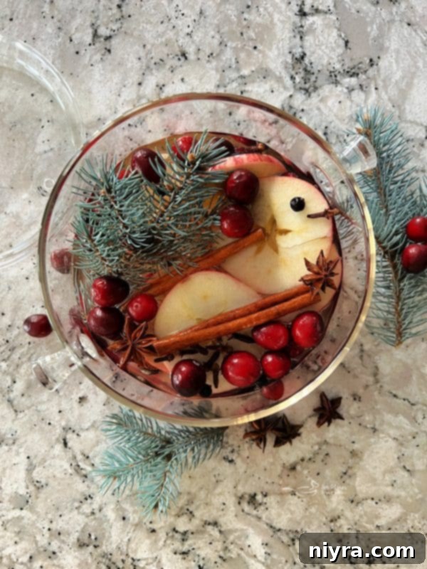 A festive holiday simmer pot with apples, cranberries, cinnamon sticks, and evergreen branches