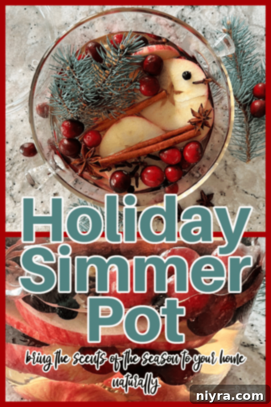 A beautifully arranged holiday simmer pot with a cozy background
