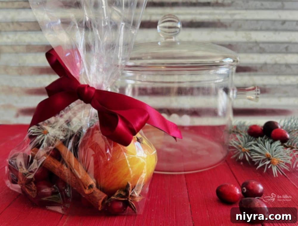Various holiday simmer pot ingredients bundled as gifts with printable tags