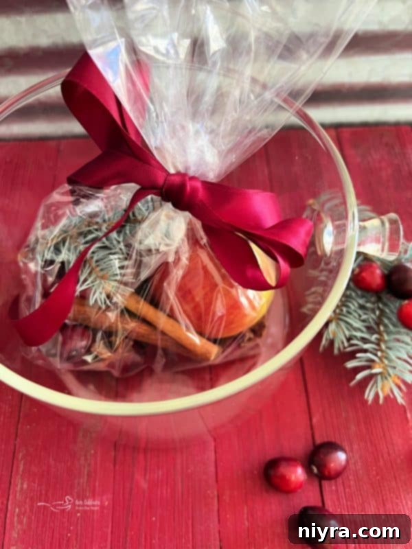 Holiday simmer pot ingredients bundled in a cellophane bag with a gift tag