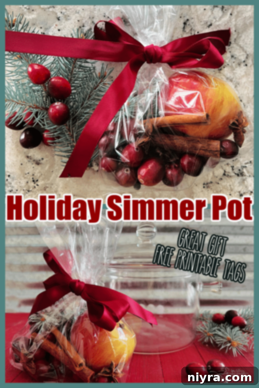 Printable holiday simmer pot gift tags for easy assembly