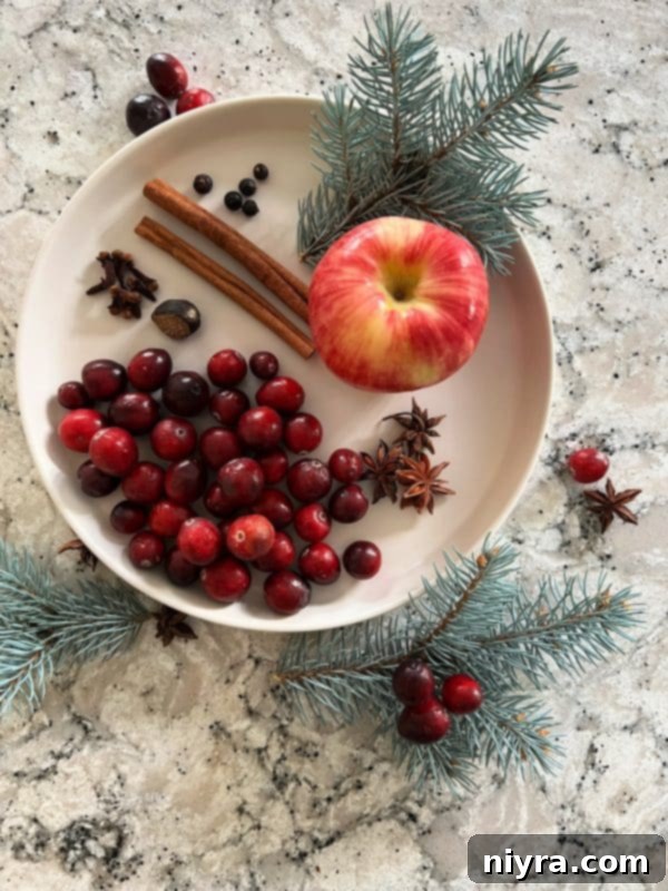 A selection of holiday simmer pot ingredients laid out, including apples, cranberries, cinnamon sticks, and star anise