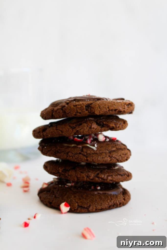 Close-up of a hand holding a delicious Chocolate Mint Candy Cookie.