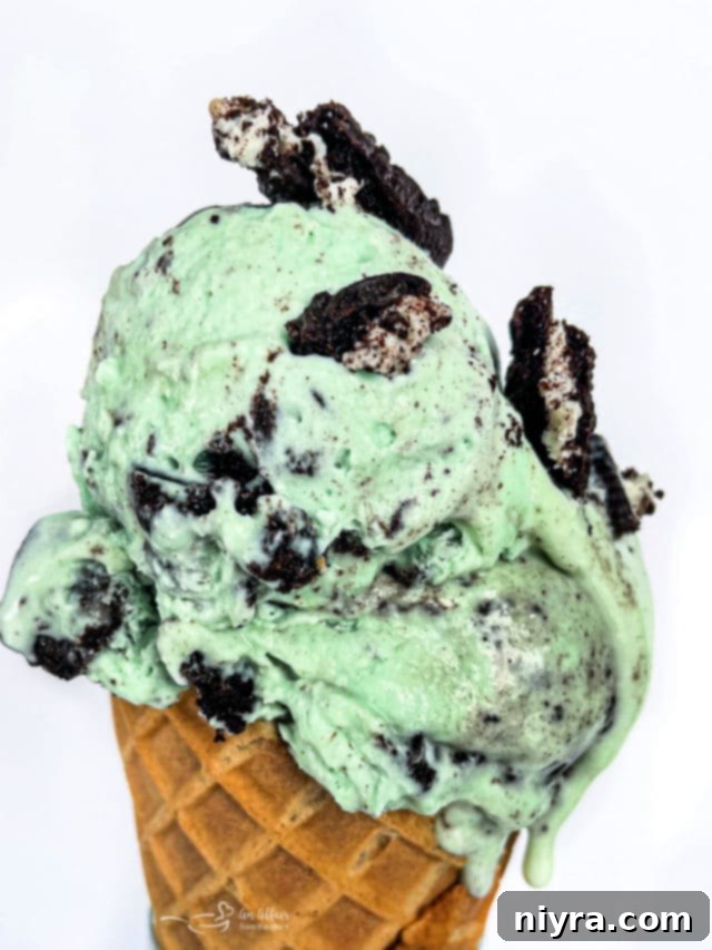 cropped-Grasshopper-Pie-Ice-Cream-in-cone-scaled-2.jpg