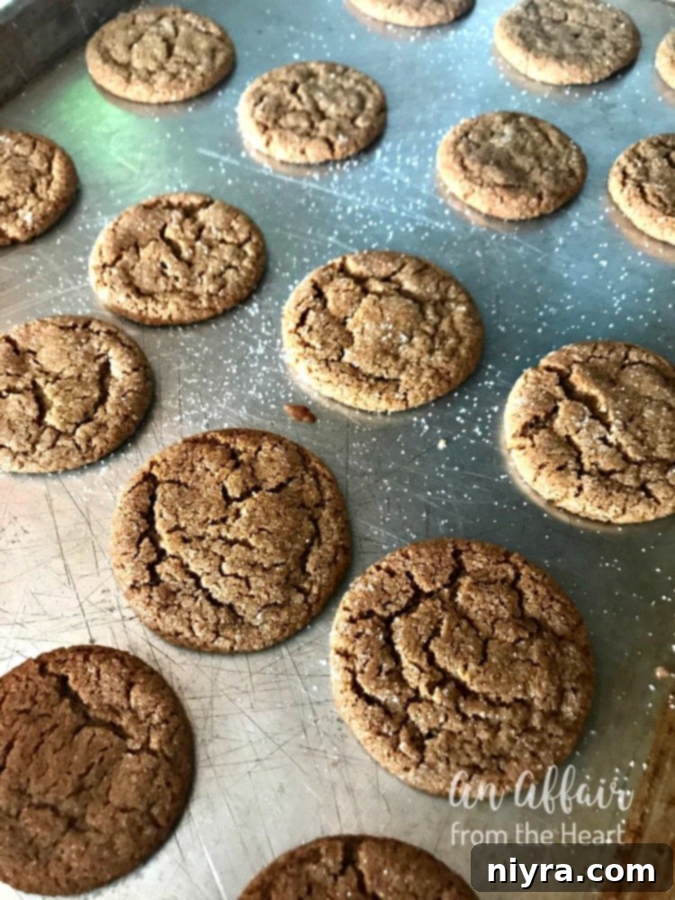A close-up of a single spice cookie, showcasing its soft texture and sugary coating.