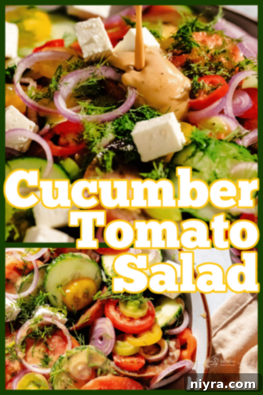 Overhead view of a colorful cucumber tomato salad in a modern serving dish.