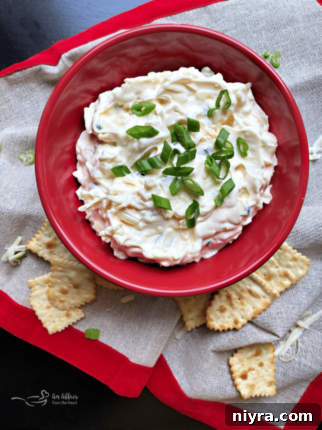 Creamy Swiss Cheese Dip in a red bowl, artfully arranged with various crackers.