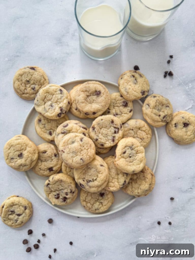 Close-up of a plate of freshly baked Chocolate Chip Sugar Cookies, golden brown with melted chocolate chips.