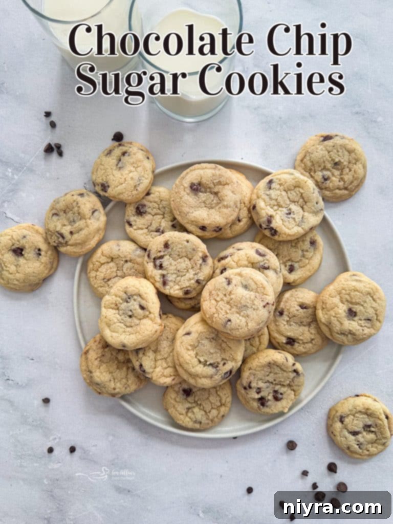Hero shot of a plate of Chocolate Chip Sugar Cookies with two glasses of milk, ready to be enjoyed.