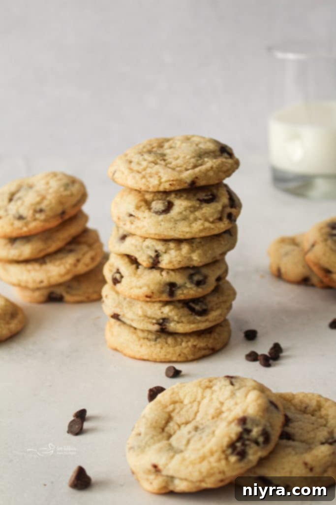Stack of freshly baked Chocolate Chip Sugar Cookies on a white plate, showcasing their golden color and chocolate chips.