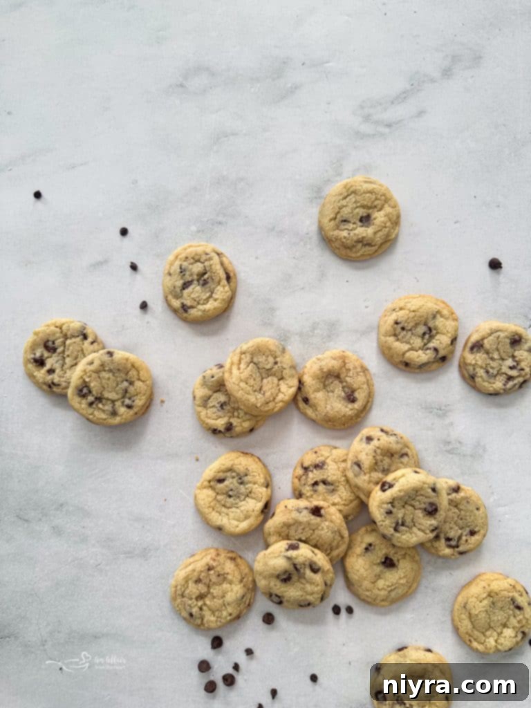 Raw Chocolate Chip Sugar Cookie dough balls on a parchment-lined baking sheet, ready for chilling.