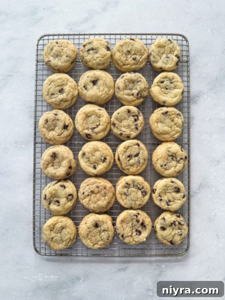 Freshly baked Chocolate Chip Sugar Cookies cooling on a wire rack.