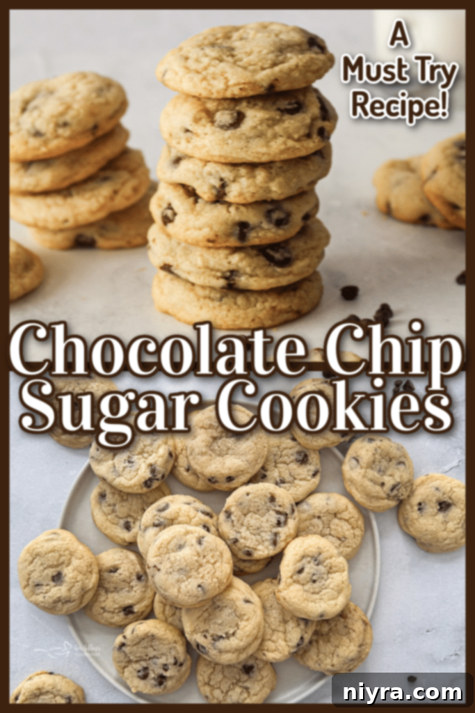 A beautifully presented plate of Chocolate Chip Sugar Cookies, perfect for sharing.