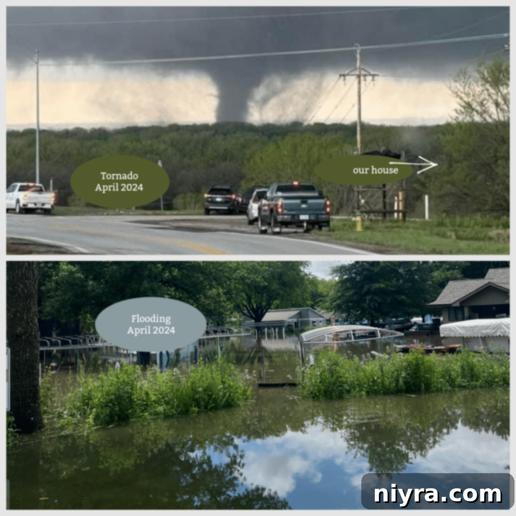 Author's 2024 experiences with disasters