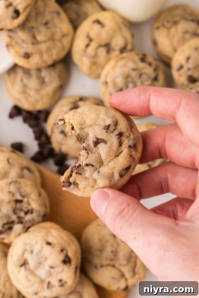 Bite-Sized Chocolate Chip Delights 2 Close-up of golden brown mini chocolate chip cookies