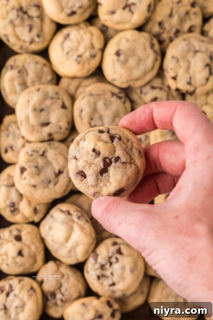 Bite-Sized Chocolate Chip Delights 11 A close-up of a single mini chocolate chip cookie with melty chocolate