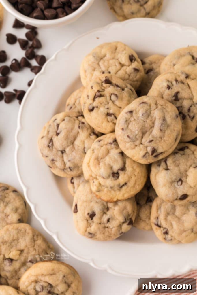 Bite-Sized Chocolate Chip Delights 13 A large pile of mini chocolate chip cookies on a serving plate