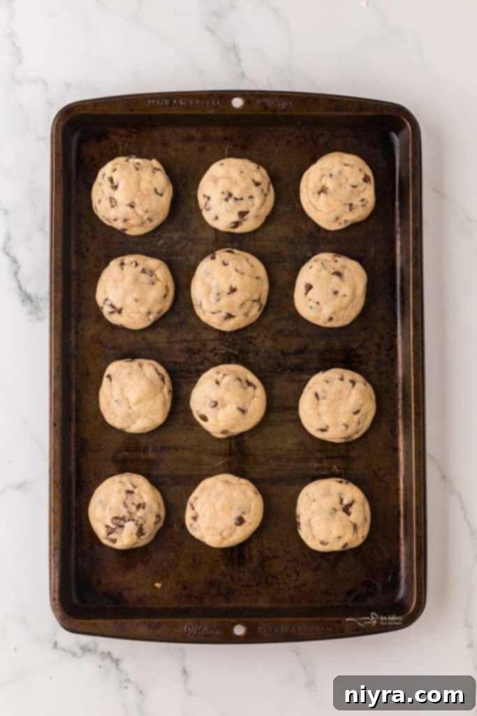 Bite-Sized Chocolate Chip Delights 9 Freshly baked mini chocolate chip cookies cooling on a wire rack