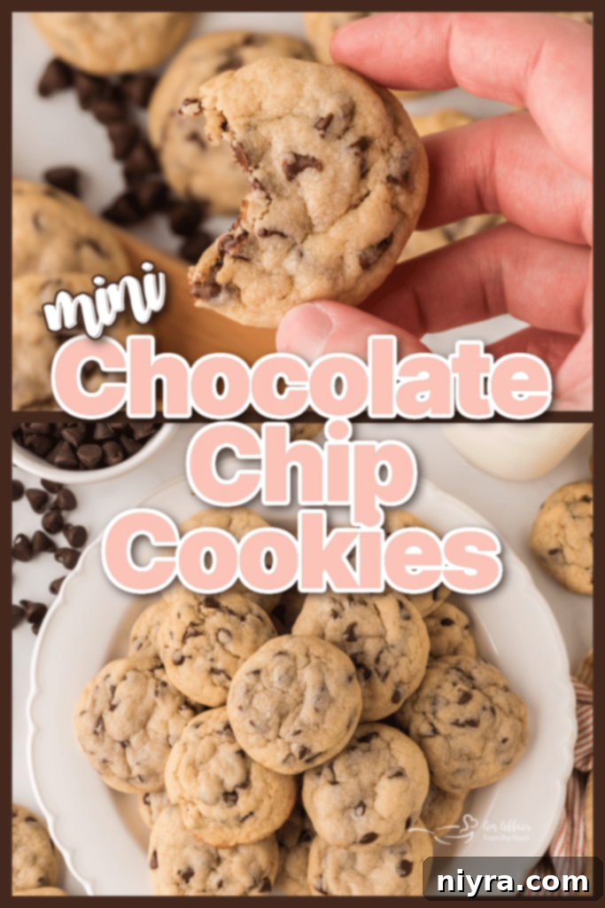 Bite-Sized Chocolate Chip Delights 10 A plate of warm, soft mini chocolate chip cookies with a glass of milk