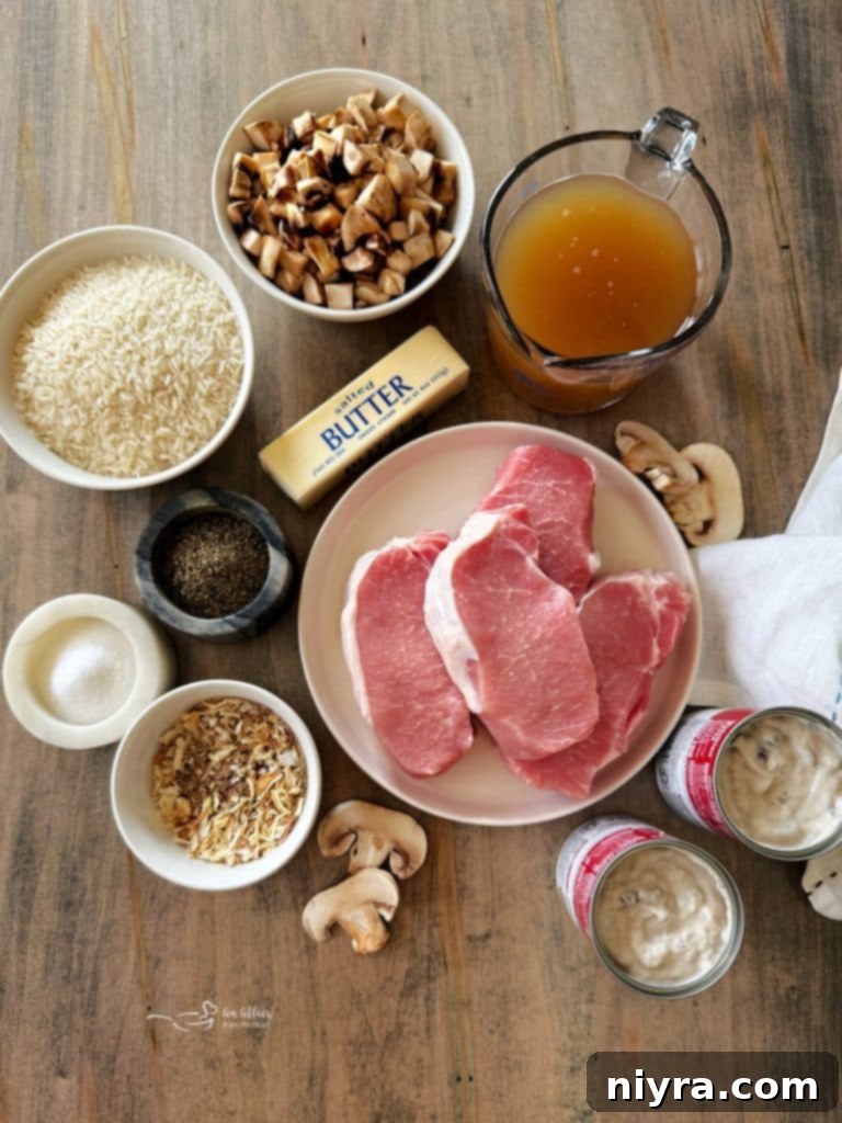 Overhead view of No Peek Pork Chops and Rice in a baking dish.