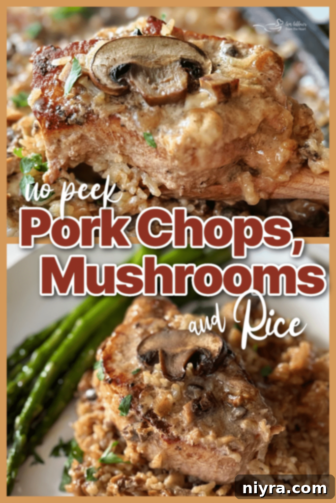 A bowl of No Peek Pork Chops and Rice, close up.