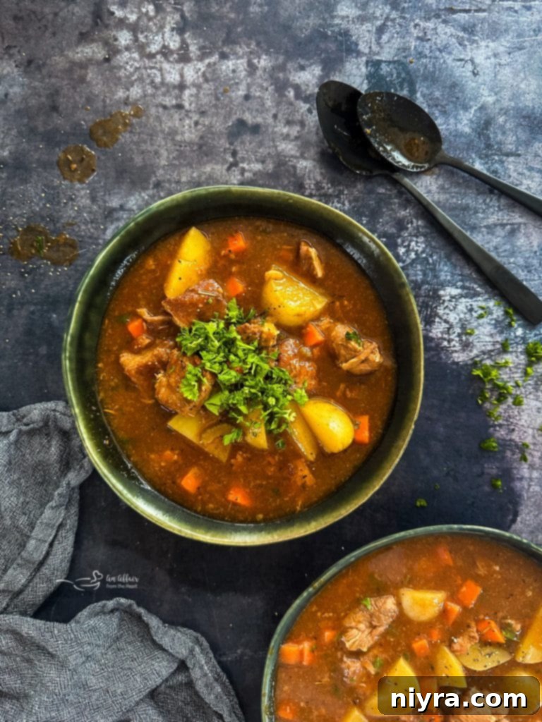 A bowl of hearty pork stew with vegetables.