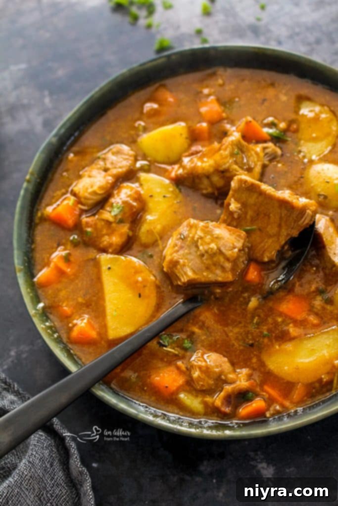 Pinterest graphic for pork stew recipe.