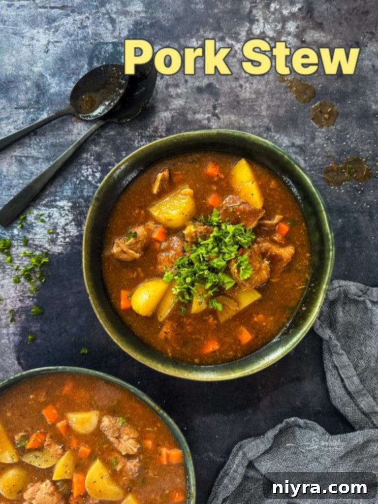 A full bowl of hearty pork stew ready to be served.