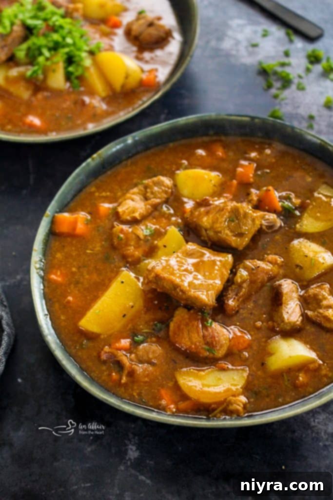 Close-up of a spoon scooping pork stew from a bowl.