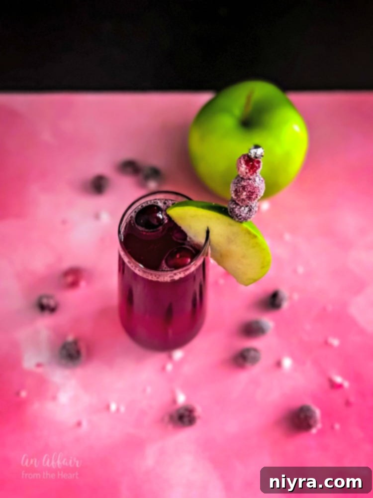 CranApple Fizz Cocktail in a glass, with fresh cranberries floating, showcasing its simple elegance.