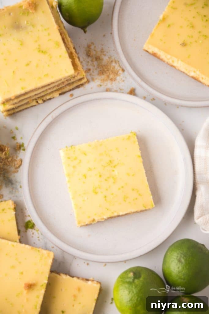 Zesty Key Lime Pie Bars 6 Ingredients laid out for making Key Lime Pie Bars: graham cracker crumbs, butter, sugar, eggs, sweetened condensed milk, and key lime juice.