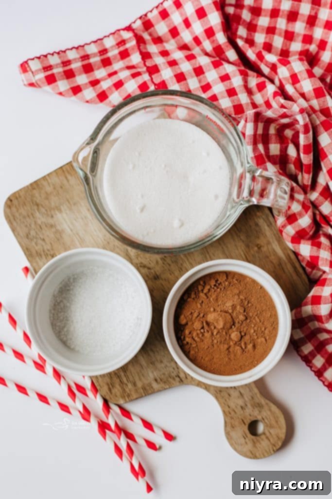 Homemade Copycat Nesquik Recipe 4 A mason jar filled with homemade chocolate milk powder, ready for use.