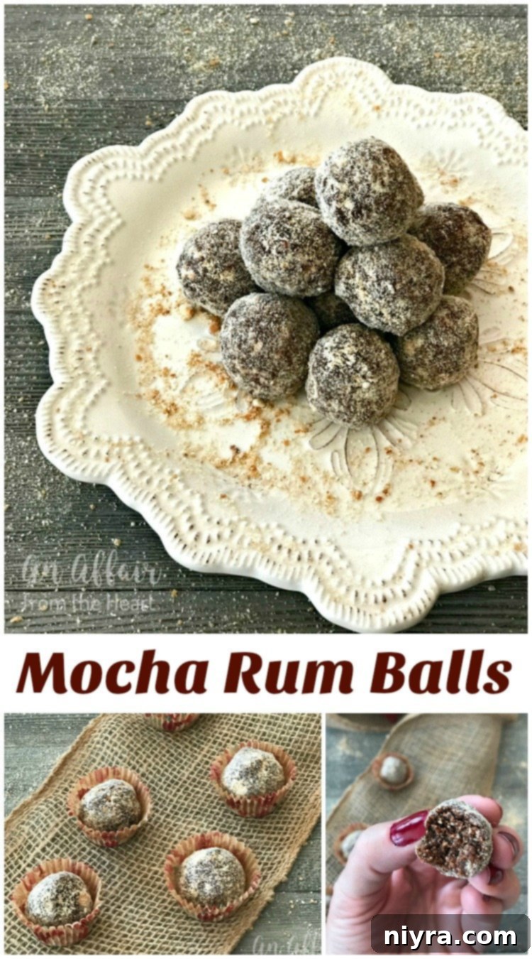 Close-up of a Mocha Rum Ball, showcasing its texture and festive appeal.