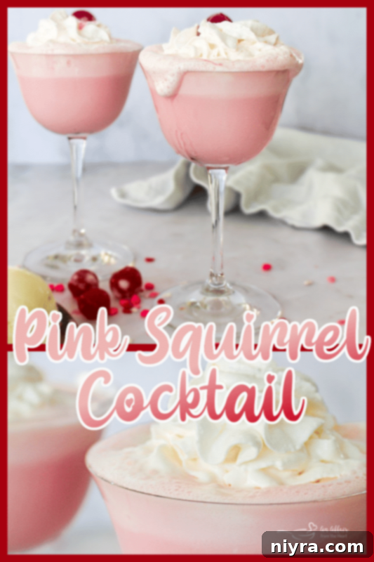 Pink Velvet Dream 11 Pink Squirrel Cocktail graphic with 'An Affair from the Heart' branding.