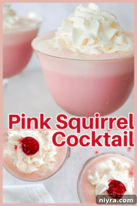 Pink Velvet Dream 12 Pink Squirrel Cocktail graphic for Pinterest with 'An Affair from the Heart' branding.