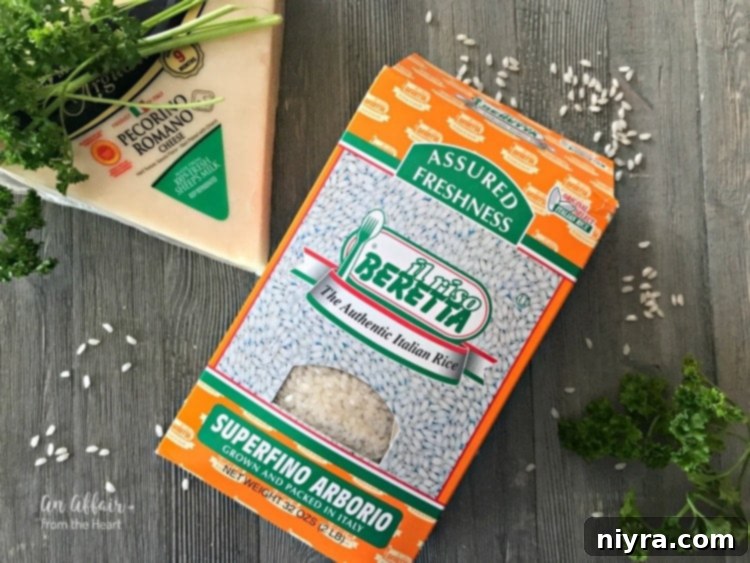 Arancini - Three Cheese Fried Risotto Balls