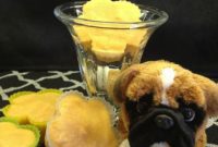 Homemade Dog Ice Cream