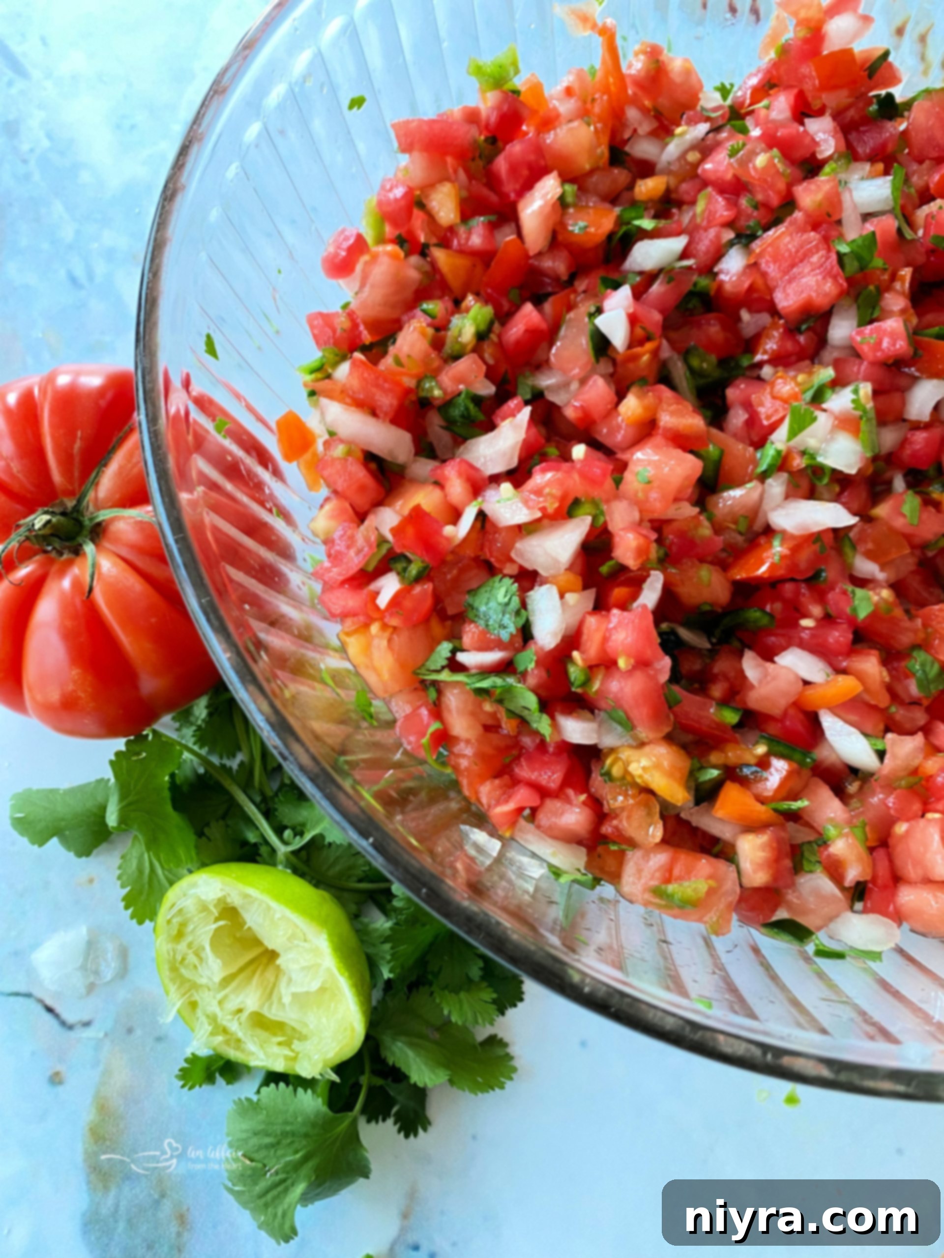 Fresh Tomato Salsa 1 featured 131
