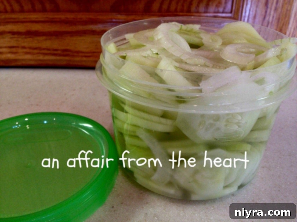 Quick Fridge Pickles 1 featured 211