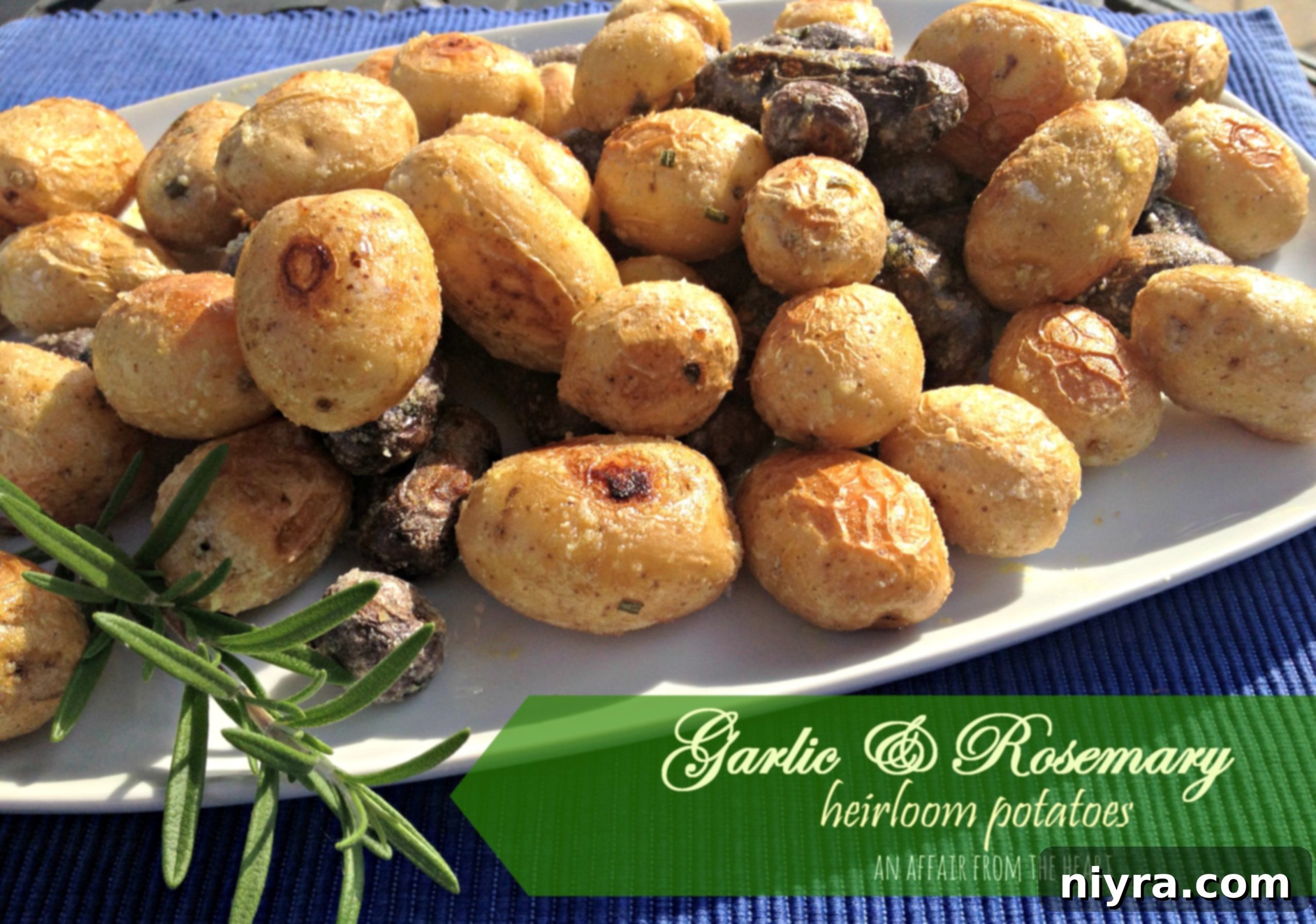 featured 2232 scaled