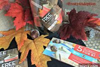 Cute Halloween Treats and Frosted Friends for Adoption