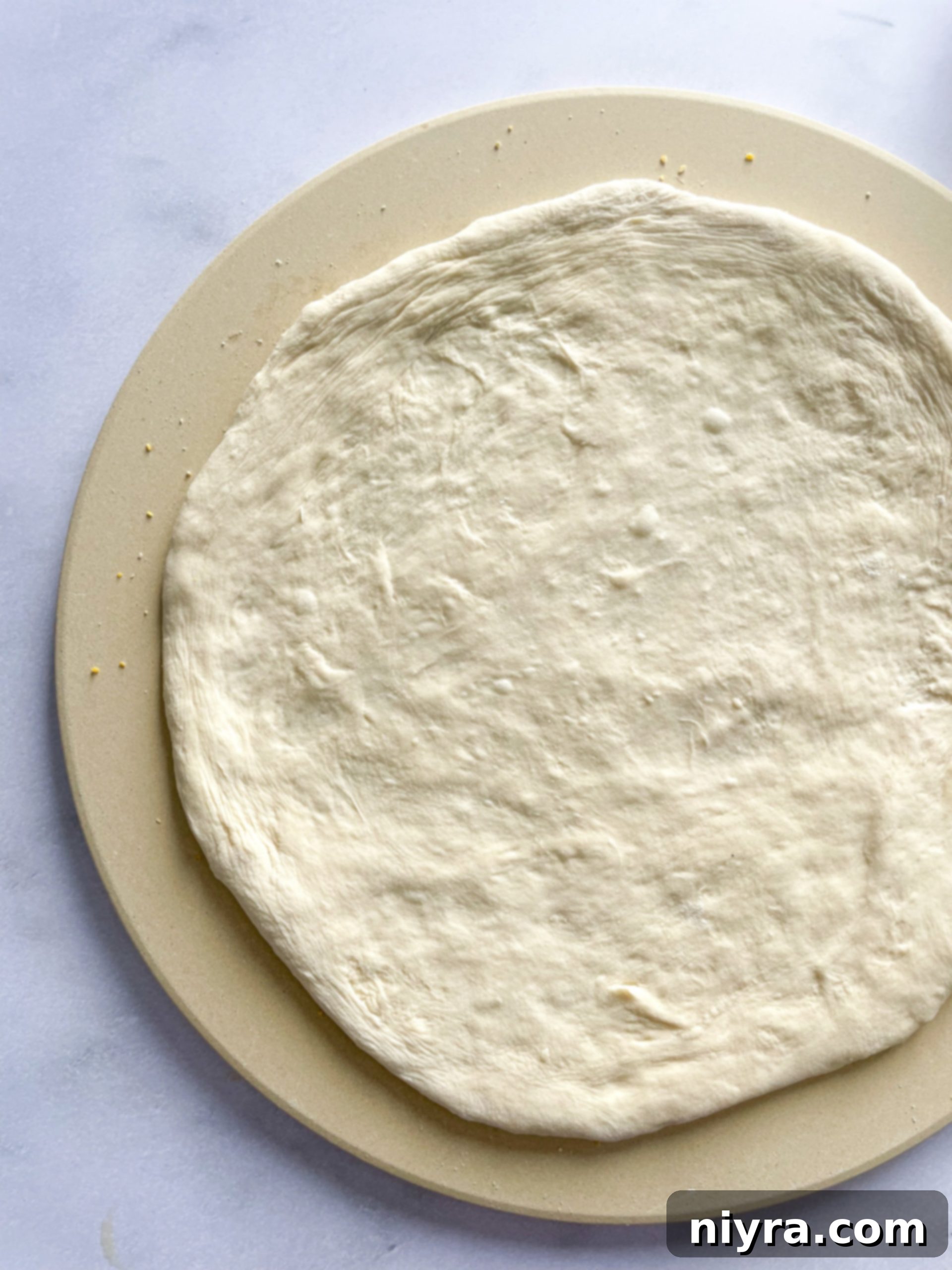 featured 32085 scaled