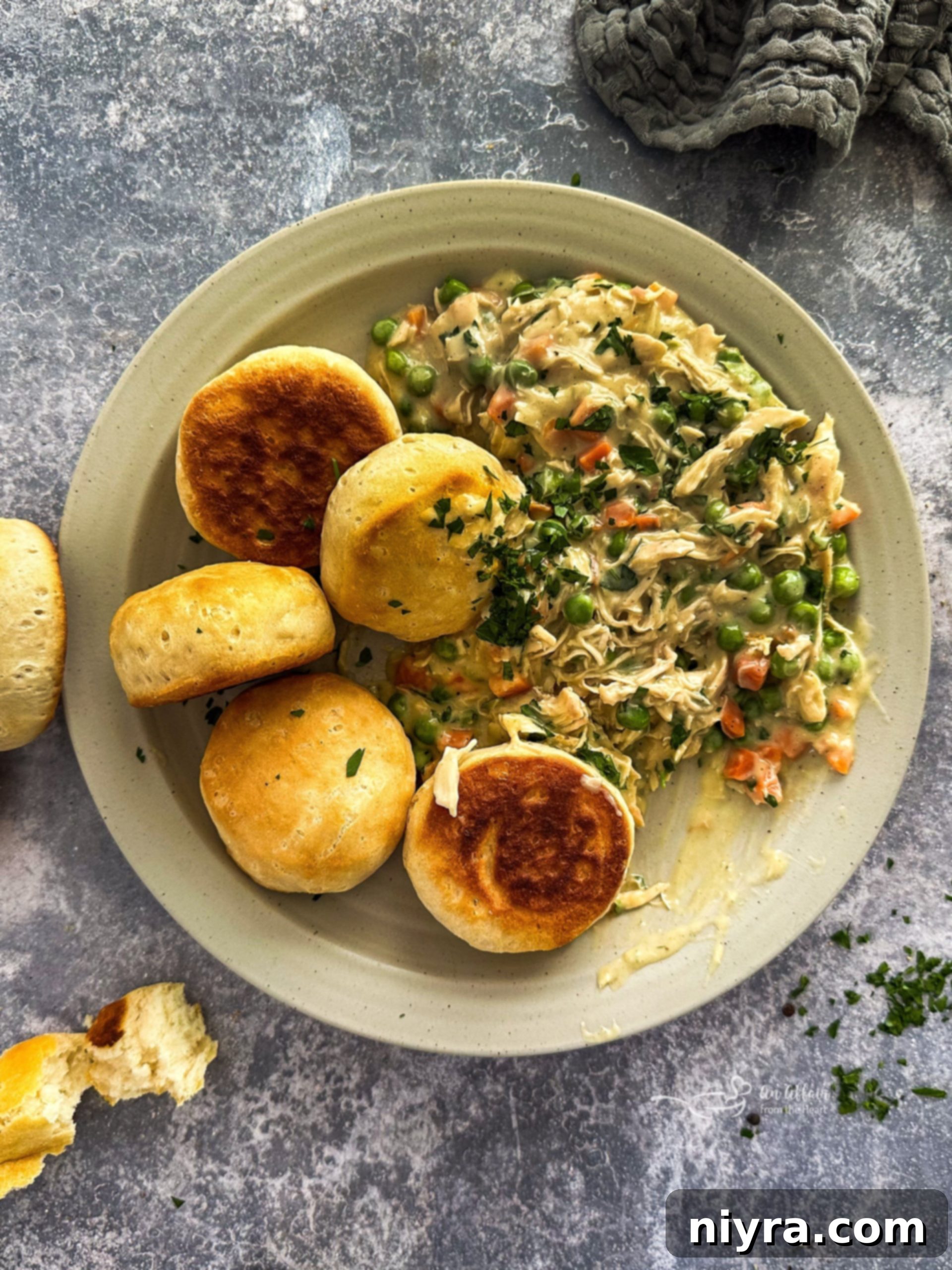 featured 7079 scaled