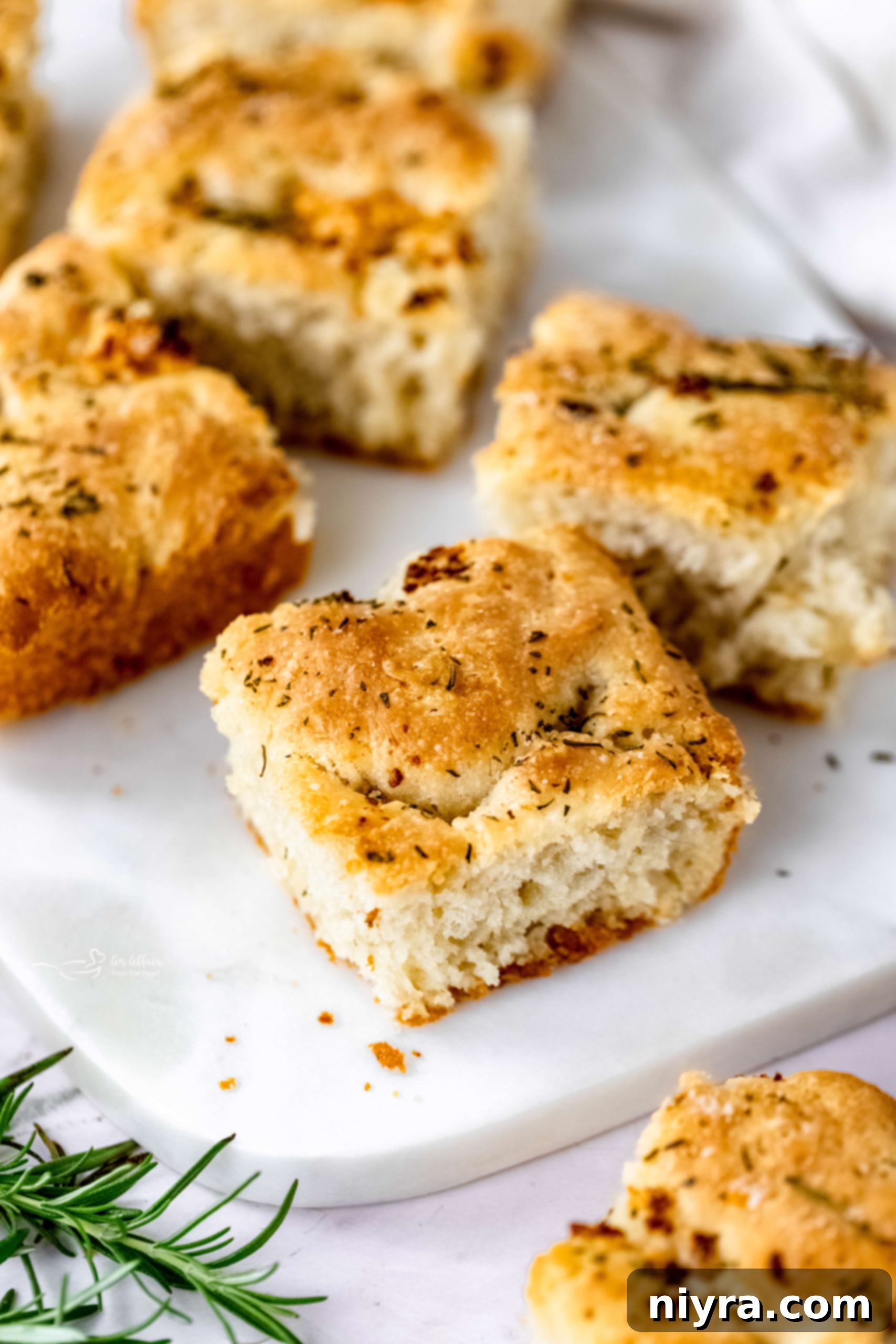 featured 84204 scaled