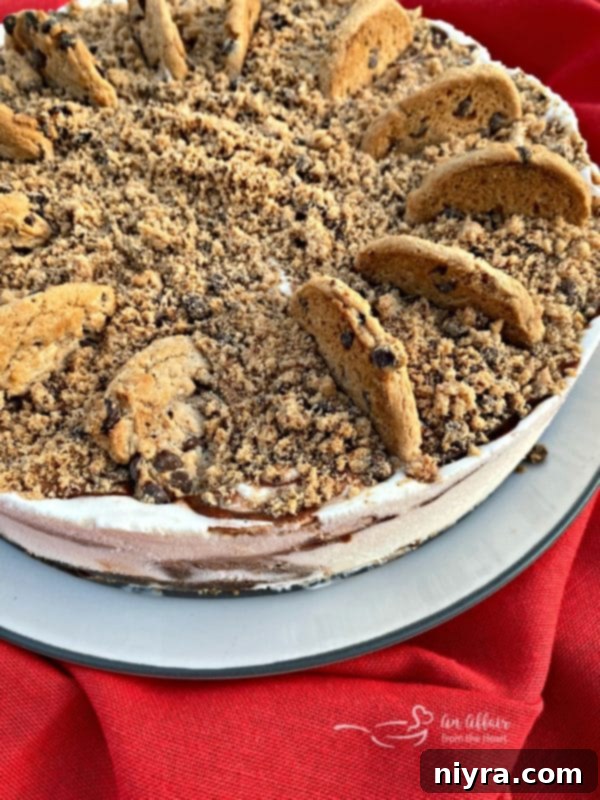 Close-up side view of the Chocolate Chip Cookie Dough Ice Cream Cake.